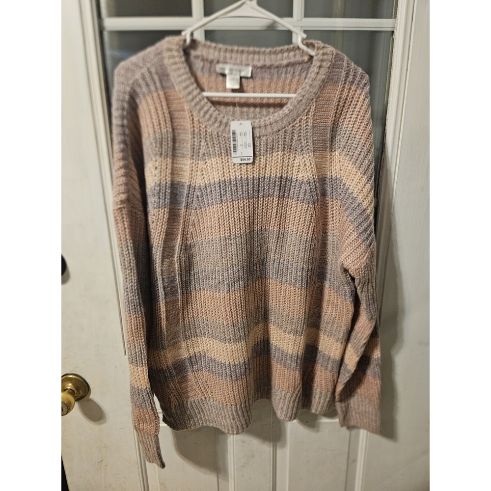Christopher Banks Women L Chunky Oversized Pastel Striped Pullover Sweater NWT